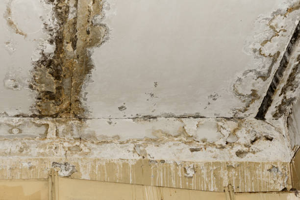 Best Mold Removal for HVAC Installations  in Mars, PA