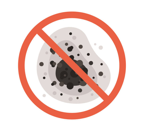 Best Biohazard Mold Removal  in Mars, PA