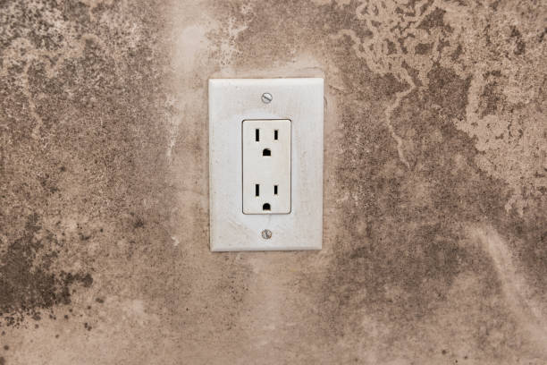 Best Mold Remediation for Healthcare Facilities  in Mars, PA